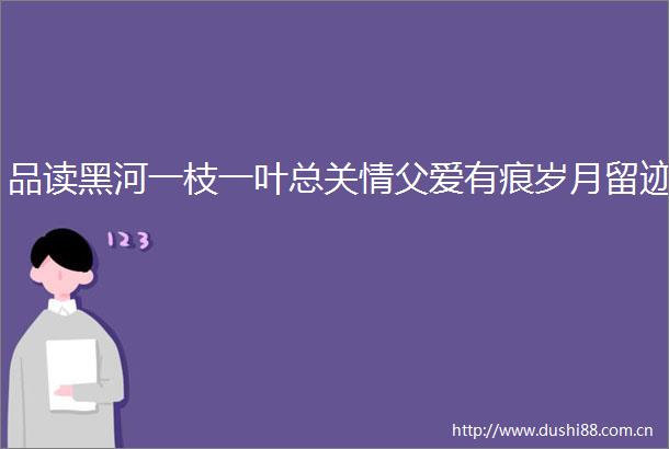 品读黑河一枝一叶总关情父爱有痕岁月留迹