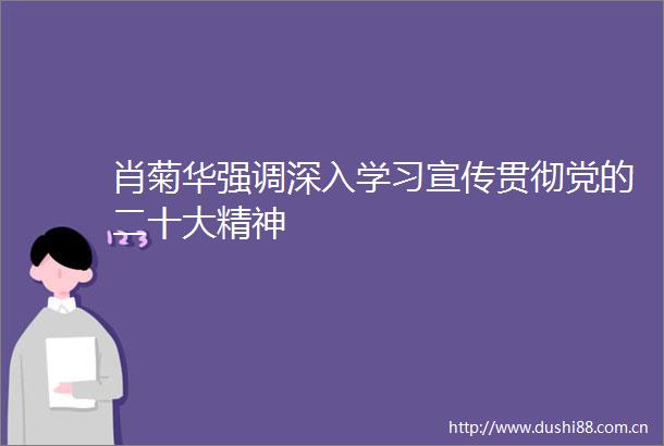 肖菊华强调深入学习宣传贯彻党的二十大精神