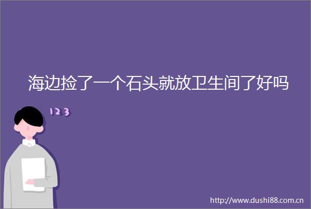 海边捡了一个石头就放卫生间了好吗