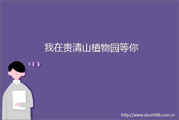 我在贵清山植物园等你