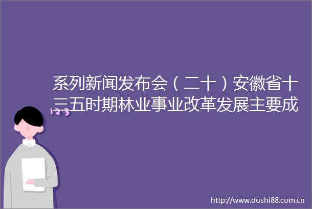 系列新闻发布会（二十）安徽省十三五时期林业事业改革发展主要成就