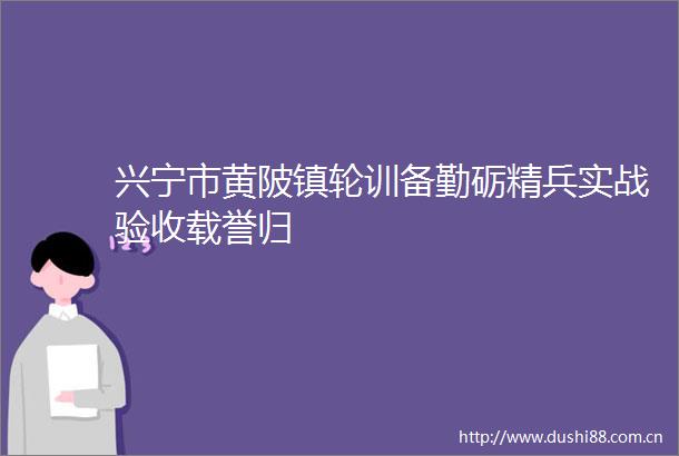 兴宁市黄陂镇轮训备勤砺精兵实战验收载誉归