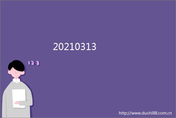 20210313
