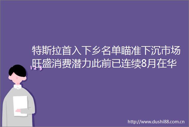 特斯拉首入下乡名单瞄准下沉市场旺盛消费潜力此前已连续8月在华销量同比下滑