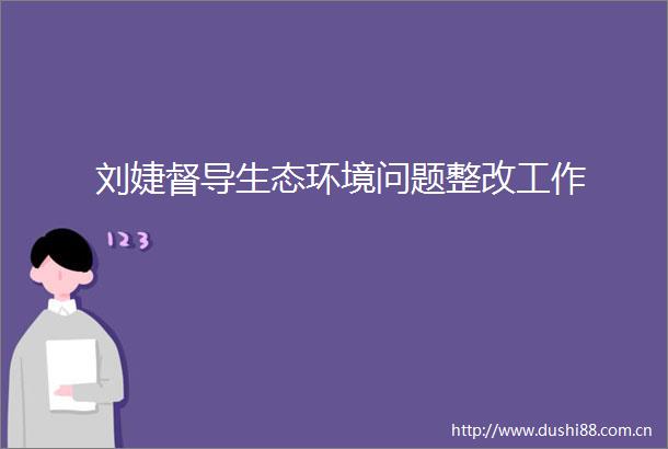 刘婕督导生态环境问题整改工作