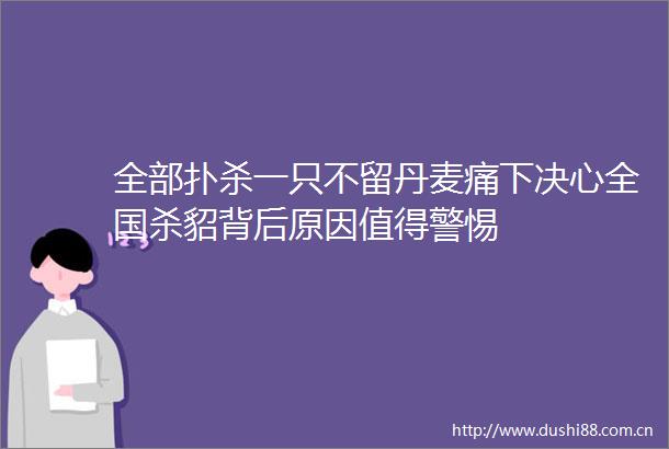 全部扑杀一只不留丹麦痛下决心全国杀貂背后原因值得警惕