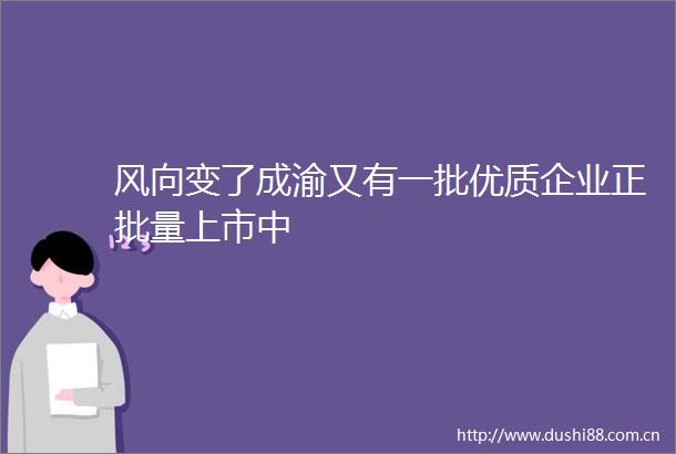 风向变了成渝又有一批优质企业正批量上市中