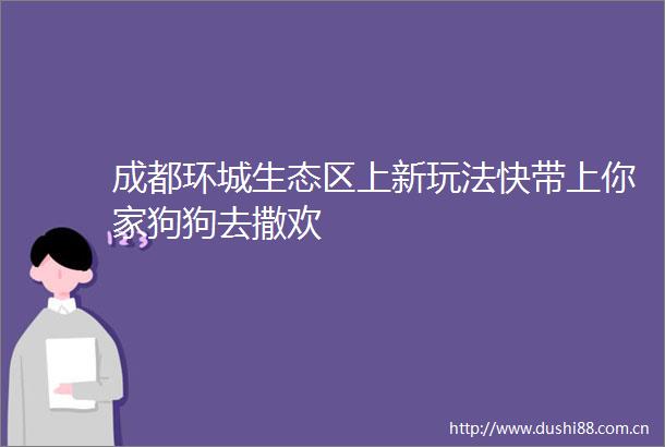 成都环城生态区上新玩法快带上你家狗狗去撒欢