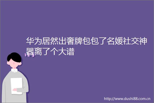 华为居然出奢牌包包了名媛社交神器离了个大谱