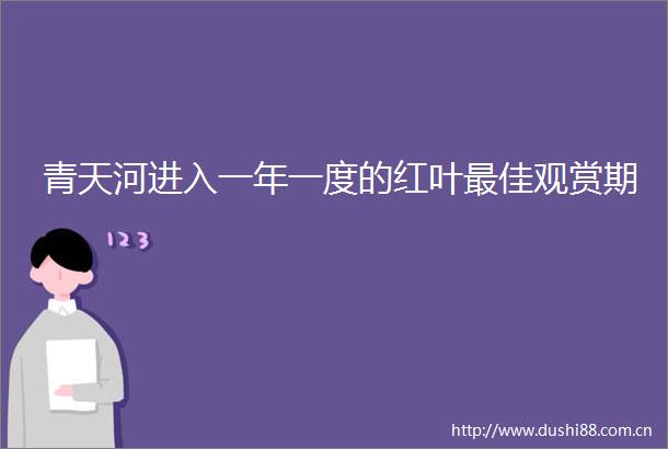 青天河进入一年一度的红叶最佳观赏期