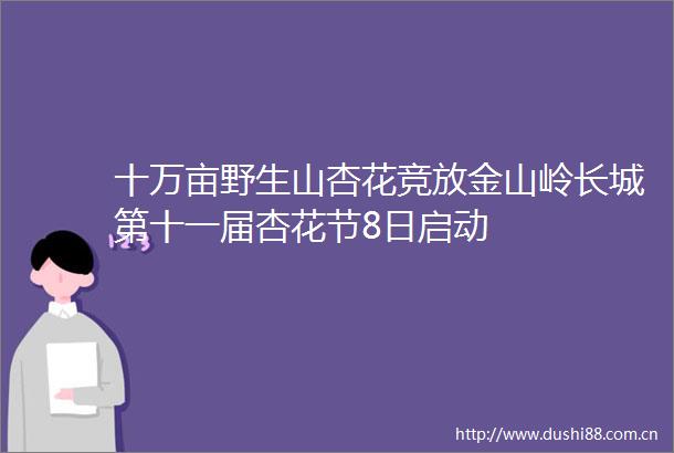 十万亩野生山杏花竞放金山岭长城第十一届杏花节8日启动