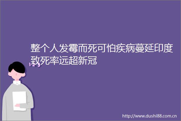 整个人发霉而死可怕疾病蔓延印度致死率远超新冠