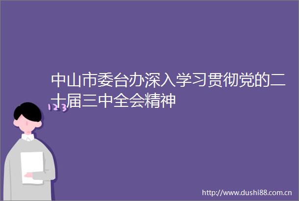 中山市委台办深入学习贯彻党的二十届三中全会精神