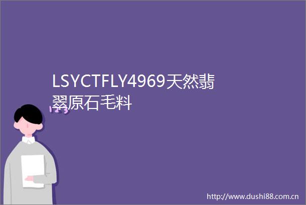 LSYCTFLY4969天然翡翠原石毛料