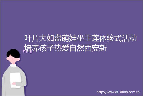 叶片大如盘萌娃坐王莲体验式活动培养孩子热爱自然西安新