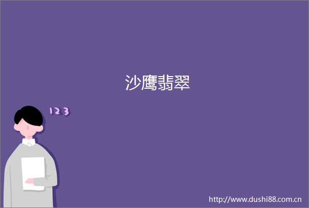 沙鹰翡翠