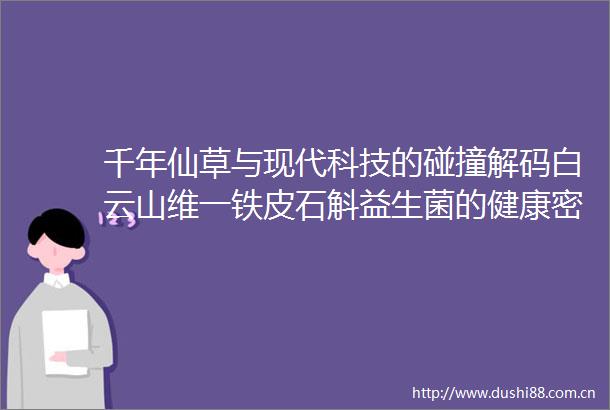 千年仙草与现代科技的碰撞解码白云山维一铁皮石斛益生菌的健康密码