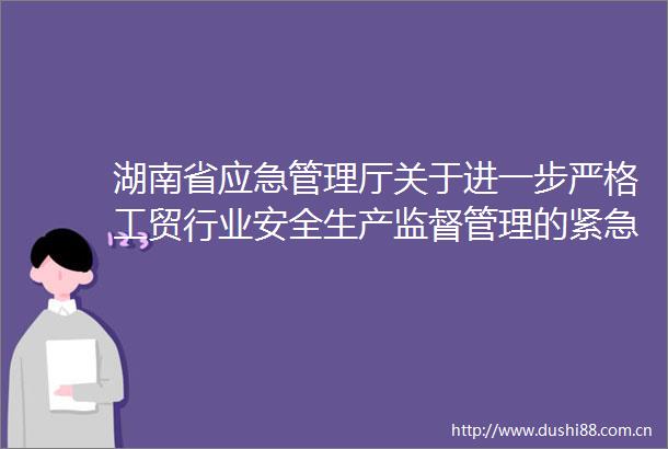 湖南省应急管理厅关于进一步严格工贸行业安全生产监督管理的紧急通知