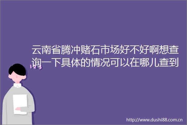 云南省腾冲赌石市场好不好啊想查询一下具体的情况可以在哪儿查到