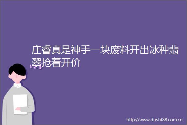 庄睿真是神手一块废料开出冰种翡翠抢着开价