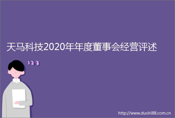 天马科技2020年年度董事会经营评述