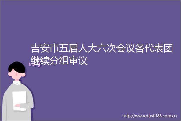 吉安市五届人大六次会议各代表团继续分组审议