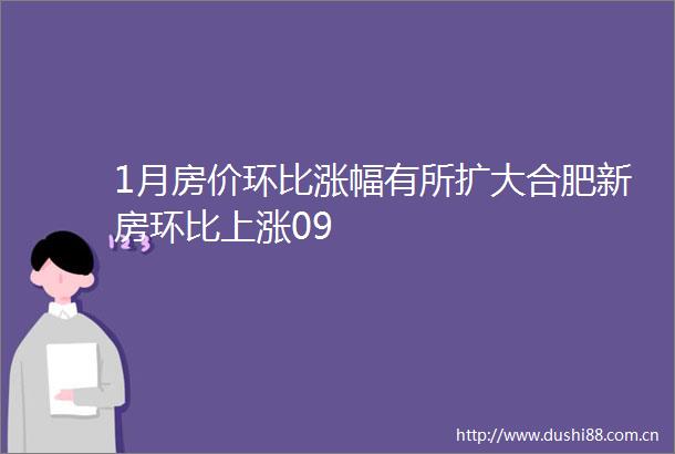 1月房价环比涨幅有所扩大合肥新房环比上涨09