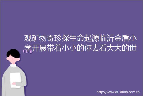 观矿物奇珍探生命起源临沂金盾小学开展带着小小的你去看大大的世界研学活动