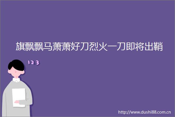 旗飘飘马萧萧好刀烈火一刀即将出鞘