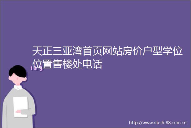 天正三亚湾首页网站房价户型学位位置售楼处电话