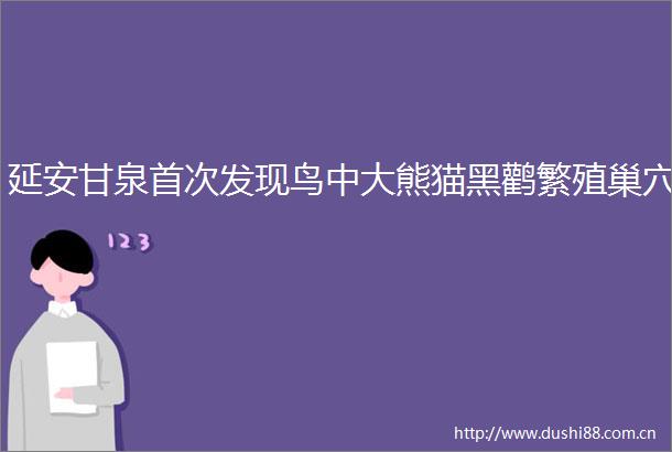 延安甘泉首次发现鸟中大熊猫黑鹳繁殖巢穴