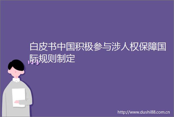 白皮书积极参与涉人权保障国际规则制定