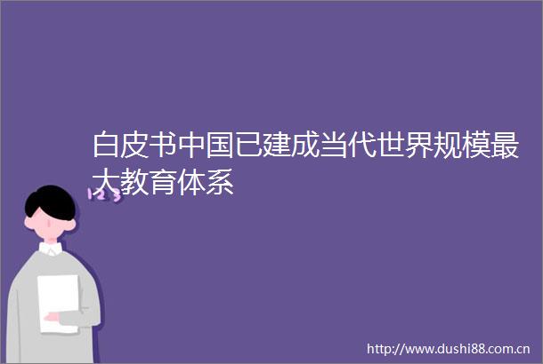白皮书已建成当代世界规模最大教育体系