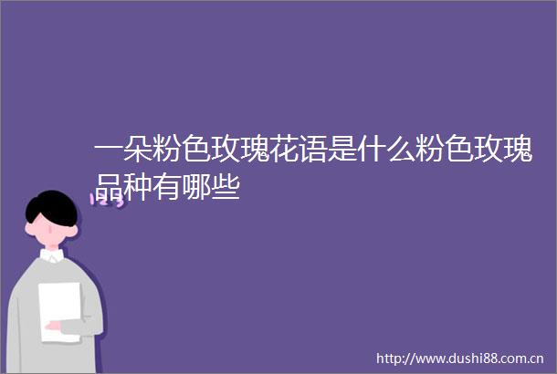 一朵粉色玫瑰花语是什么粉色玫瑰品种有哪些