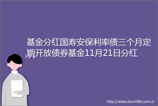 基金分红国寿安保利率债三个月定期开放债券基金11月21日分红