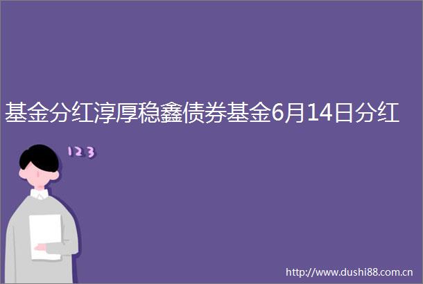 基金分红淳厚稳鑫债券基金6月14日分红