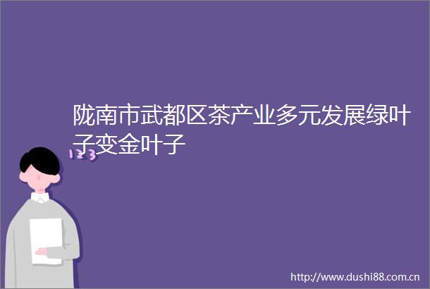 陇南市武都区茶产业多元发展绿叶子变金叶子