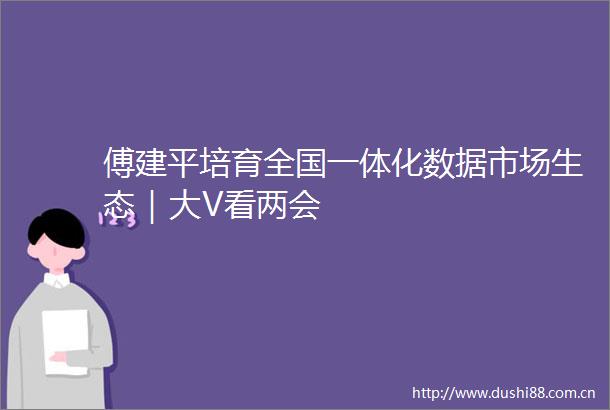 傅建平培育全国一体化数据市场生态｜大V看两会