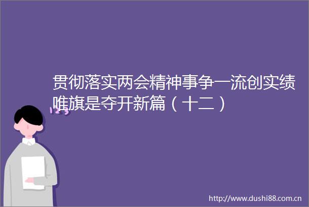 贯彻落实两会精神事争一流创实绩唯旗是夺开新篇（十二）