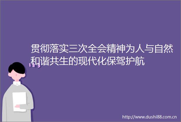 贯彻落实三次全会精神为人与自然和谐共生的现代化保驾护航