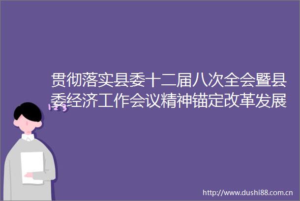 贯彻落实县委十二届八次全会暨县委经济工作会议精神锚定改革发展目标砥砺奋进谱新篇