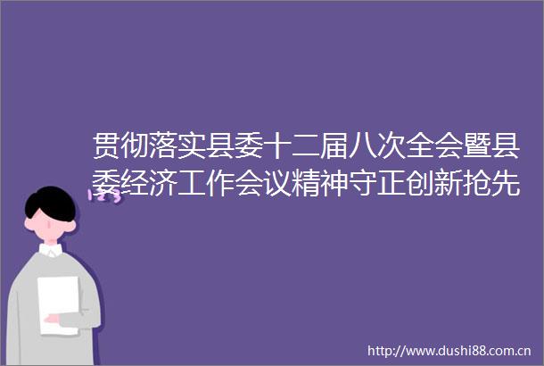 贯彻落实县委十二届八次全会暨县委经济工作会议精神守正创新抢先机接续奋进谋发展