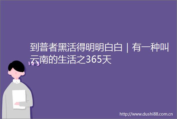 到普者黑活得明明白白｜有一种叫云南的生活之365天