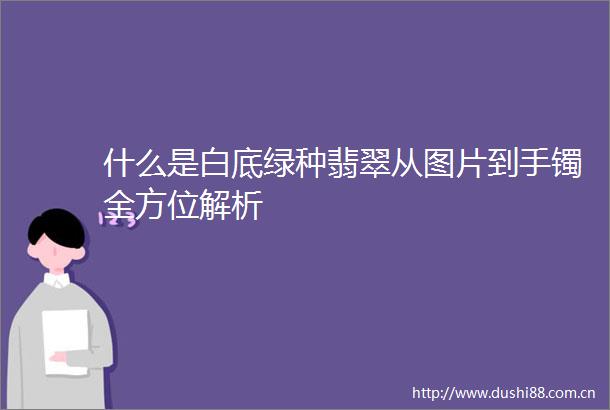 什么是白底绿种翡翠从图片到手镯全方位解析