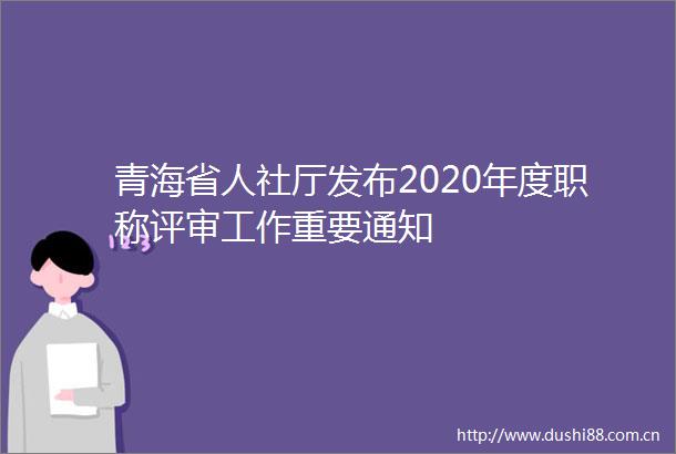 青海省人社厅发布2020年度职称评审工作重要通知