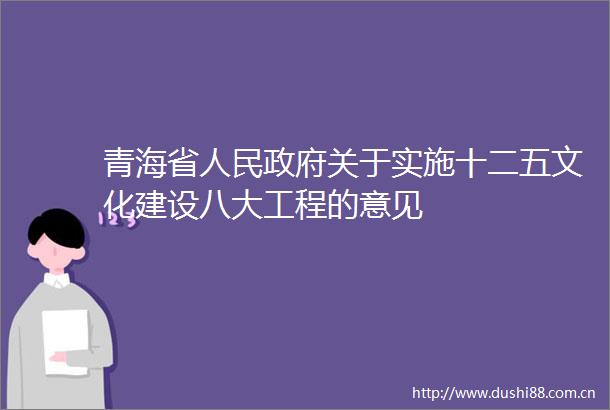 青海省关于实施十二五文化建设八大工程的意见