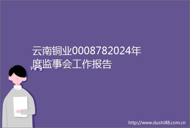 云南铜业0008782024年度监事会工作报告