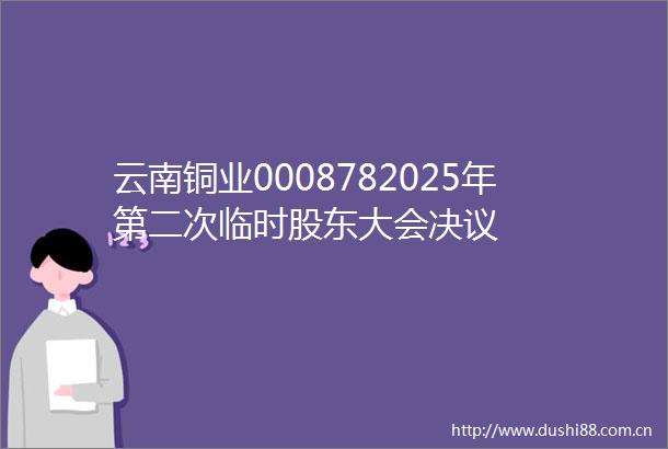云南铜业0008782025年第二次临时股东大会决议