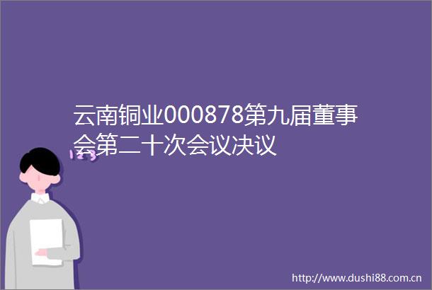云南铜业000878第九届董事会第二十次会议决议