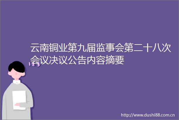 云南铜业第九届监事会第二十八次会议决议公告内容摘要
